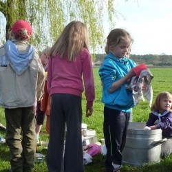 Koala 023 - Scouts en Gidsen Zaventem 